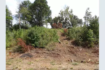 16393 W Hwy 31 Lot-4, Tyler, TX 75709 - Photo 11