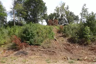 16393 W Hwy 31 Lot-4, Tyler, TX 75709 - Photo 11