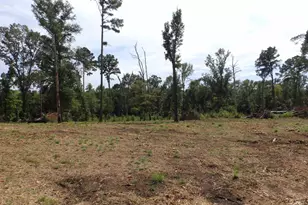 16393 W Hwy 31 Lot-4, Tyler, TX 75709 - Photo 15