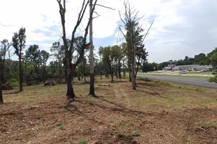 16393 W Hwy 31 Lot-4, Tyler, TX 75709 - Photo 9