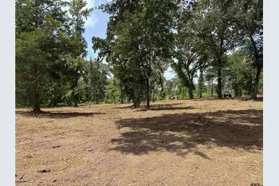 16393 W Hwy 31 Lot-4, Tyler, TX 75709 - Photo 7