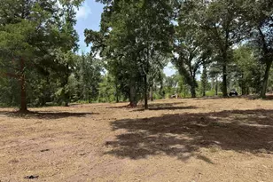 16393 W Hwy 31 Lot-4, Tyler, TX 75709 - Photo 7