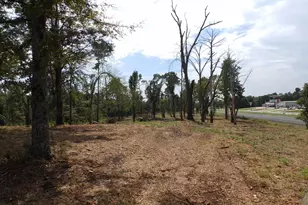 16393 W Hwy 31 Lot-5, Tyler, TX 75709 - Photo 11