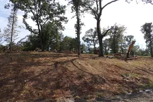 16393 W Hwy 31 Lot-3, Tyler, TX 75709 - Photo 19