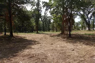 16393 W Hwy 31 Lot-3, Tyler, TX 75709 - Photo 7