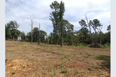 16393 W Hwy 31 Lot-3, Tyler, TX 75709 - Photo 9