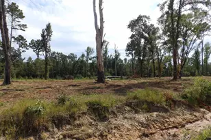 16393 W Hwy 31 Lot-3, Tyler, TX 75709 - Photo 17