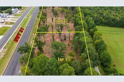 16393 W Hwy 31 Lot-2, Tyler, TX 75709 - Photo 3