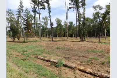 16393 W Hwy 31 Lot-2, Tyler, TX 75709 - Photo 7