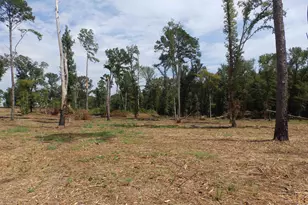 16393 W Hwy 31 Lot-2, Tyler, TX 75709 - Photo 9