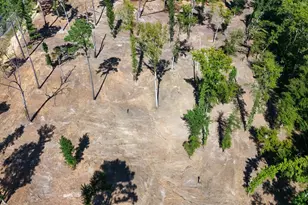 16393 W Hwy 31 Lot-2, Tyler, TX 75709 - Photo 17