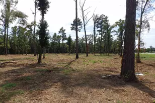 16393 W Hwy 31 Lot-2, Tyler, TX 75709 - Photo 13