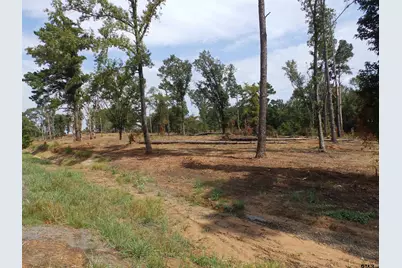 16393 W Hwy 31 Lot-2, Tyler, TX 75709 - Photo 27