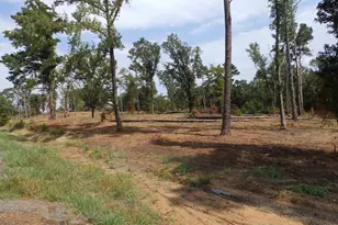 16393 W Hwy 31 Lot-2, Tyler, TX 75709 - Photo 27