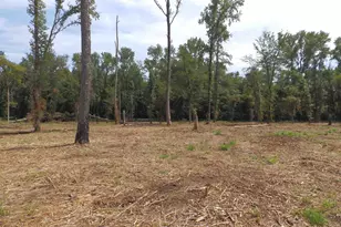 16393 W Hwy 31 Lot-1, Tyler, TX 75709 - Photo 7