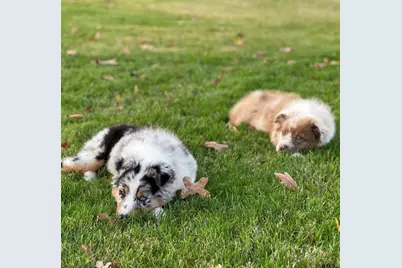 359 Private Road 6235, Mineola, TX 75773 - Photo 5