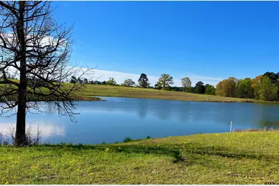 Lot 49 White Oak Creek Ranch, Big Sandy, TX 75755 - Photo 9