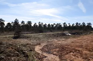 20175 S Hwy 155 Lot D, Flint, TX 75762 - Photo 25