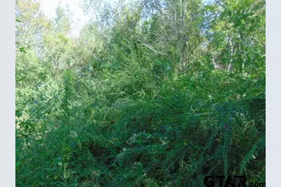 400 Block S Doctor M. Roper Parkway (U.S. 69), Bullard, TX 75757 - Photo 17