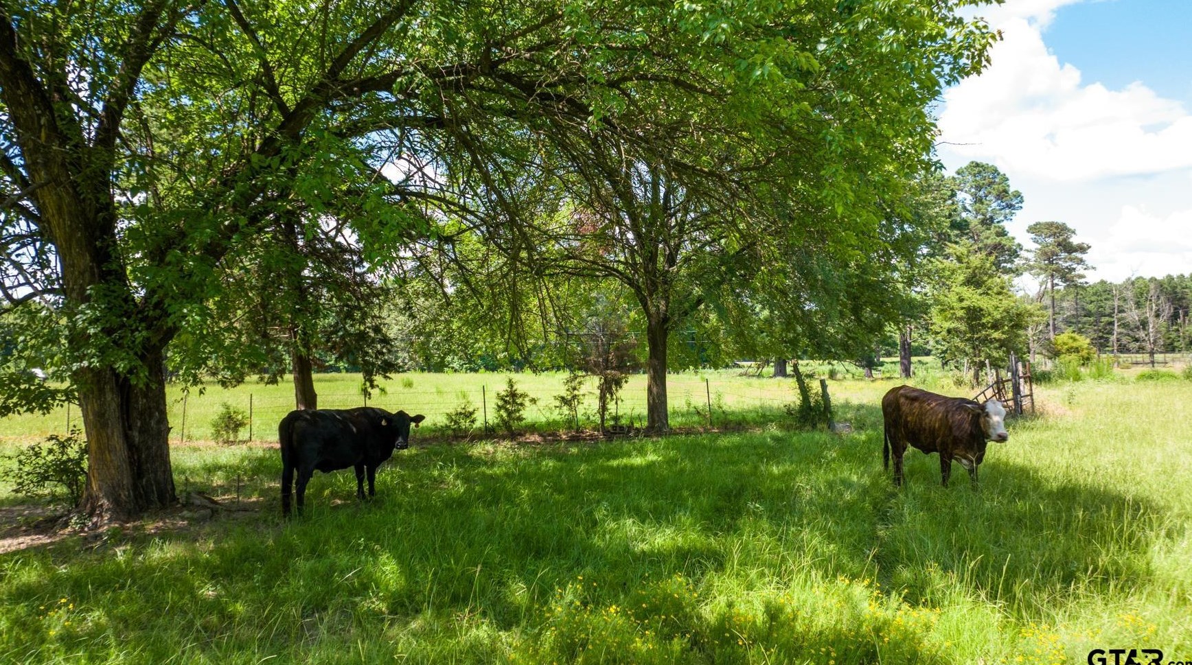 16569 County Rd 384, Tyler TX 75708-7312 exterior