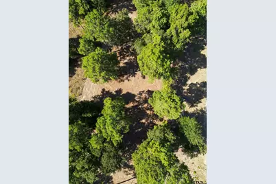 3146 Shadow Pine Dr., LaRue, TX 75770 - Photo 9