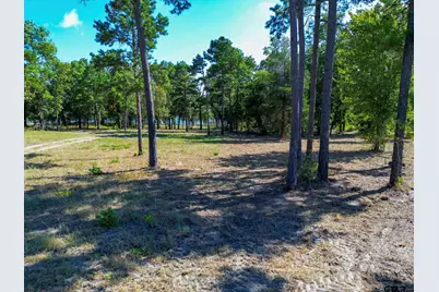 3146 Shadow Pine Dr., LaRue, TX 75770 - Photo 7