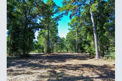 3146 Shadow Pine Dr., LaRue, TX 75770 - Photo 5