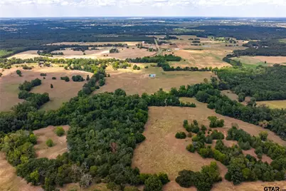 87 Acres Fm 269, Pickton, TX 75471 - Photo 17