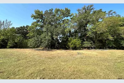 87 Acres Fm 269, Pickton, TX 75471 - Photo 35