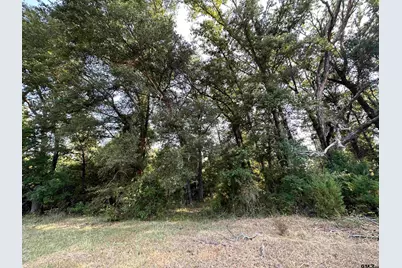 87 Acres Fm 269, Pickton, TX 75471 - Photo 31