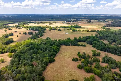 87 Acres Fm 269, Pickton, TX 75471 - Photo 3