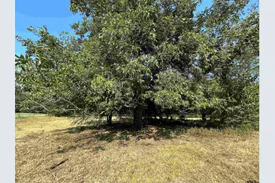 87 Acres Fm 269, Pickton, TX 75471 - Photo 37