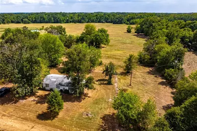87 Acres Fm 269, Pickton, TX 75471 - Photo 5