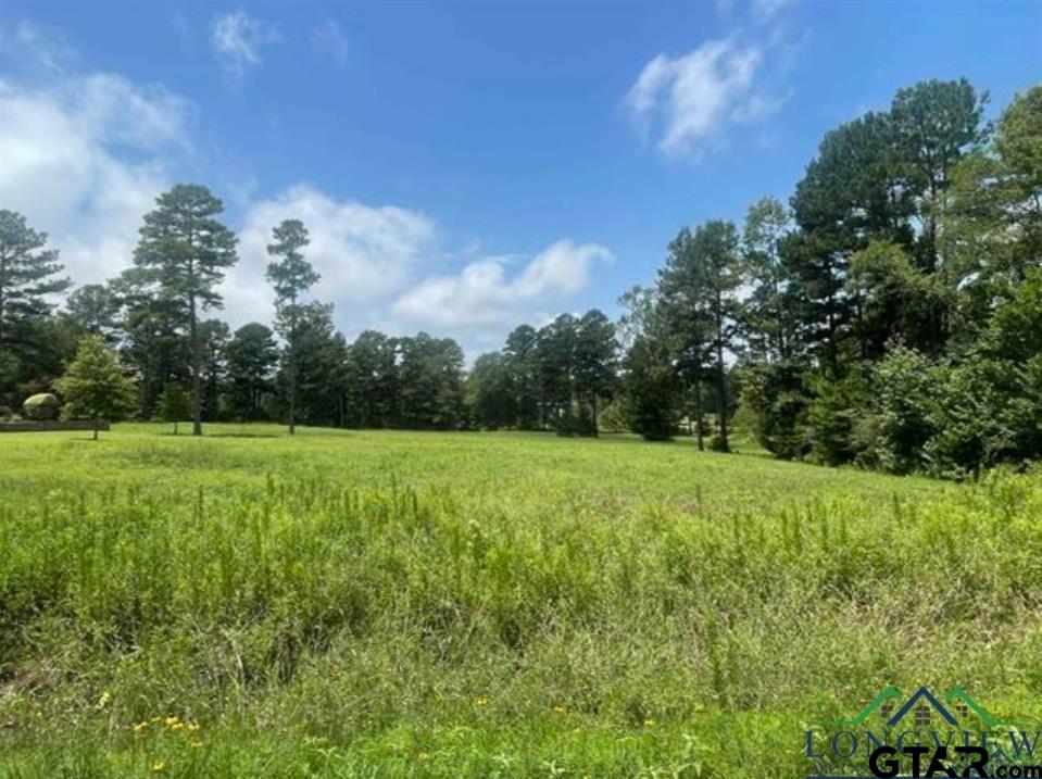 16543 Cr 3111, Gladewater, TX 75647 MLS 23013006 Coldwell Banker