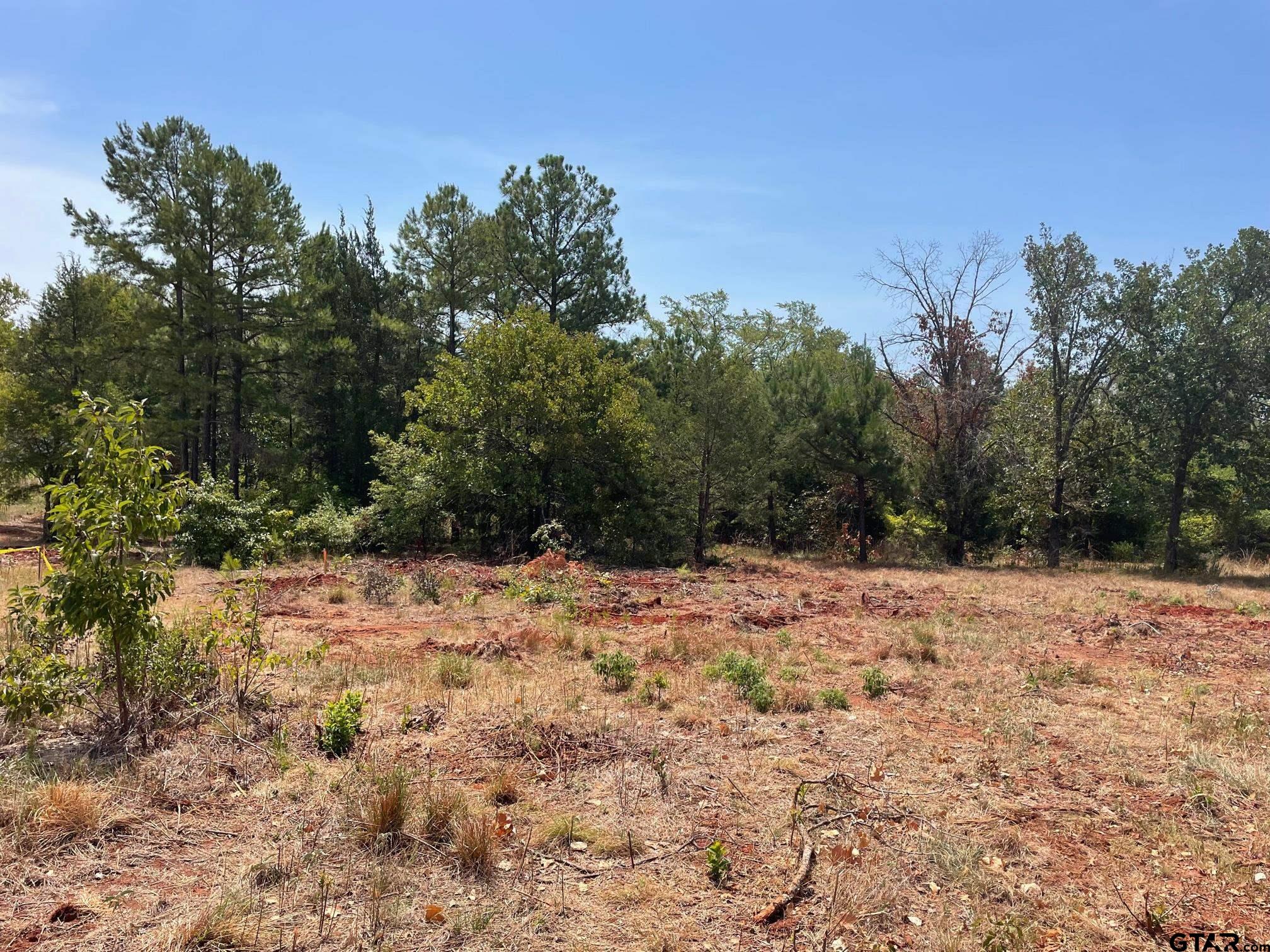 12260 Hackberry Hollow, Tyler, TX 75706 MLS 23014181 Coldwell Banker