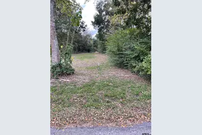 Tbd Fm 1799, Alba, TX 75410 - Photo 3