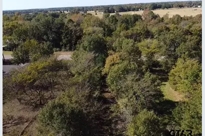 Tbd Fm 1799, Alba, TX 75410 - Photo 15