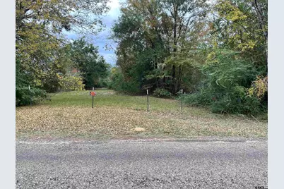 Tbd Cr 2940/ Fm 1799, Alba, TX 75410 - Photo 5