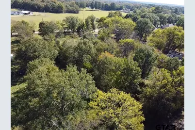 Tbd Cr 2940/ Fm 1799, Alba, TX 75410 - Photo 7