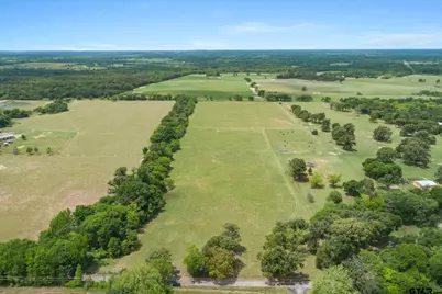 20+/- Acres Vz County Road 4412, Ben Wheeler, TX 75754 - Photo 3