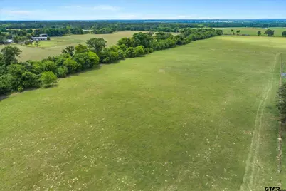 20+/- Acres Vz County Road 4412, Ben Wheeler, TX 75754 - Photo 7