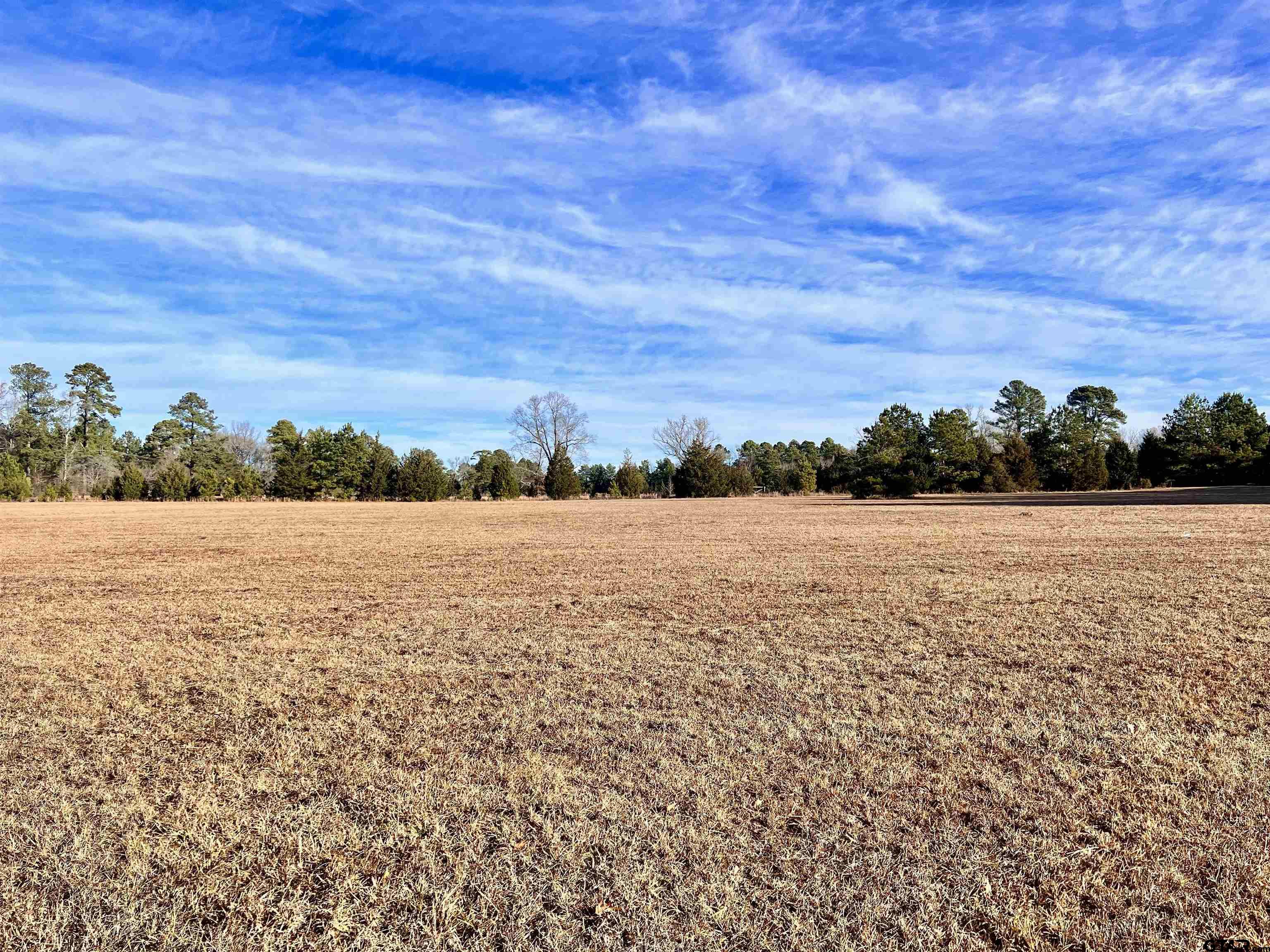 Tbd Boggy Rd, Waskom, TX 75692 MLS 24000807 Coldwell Banker