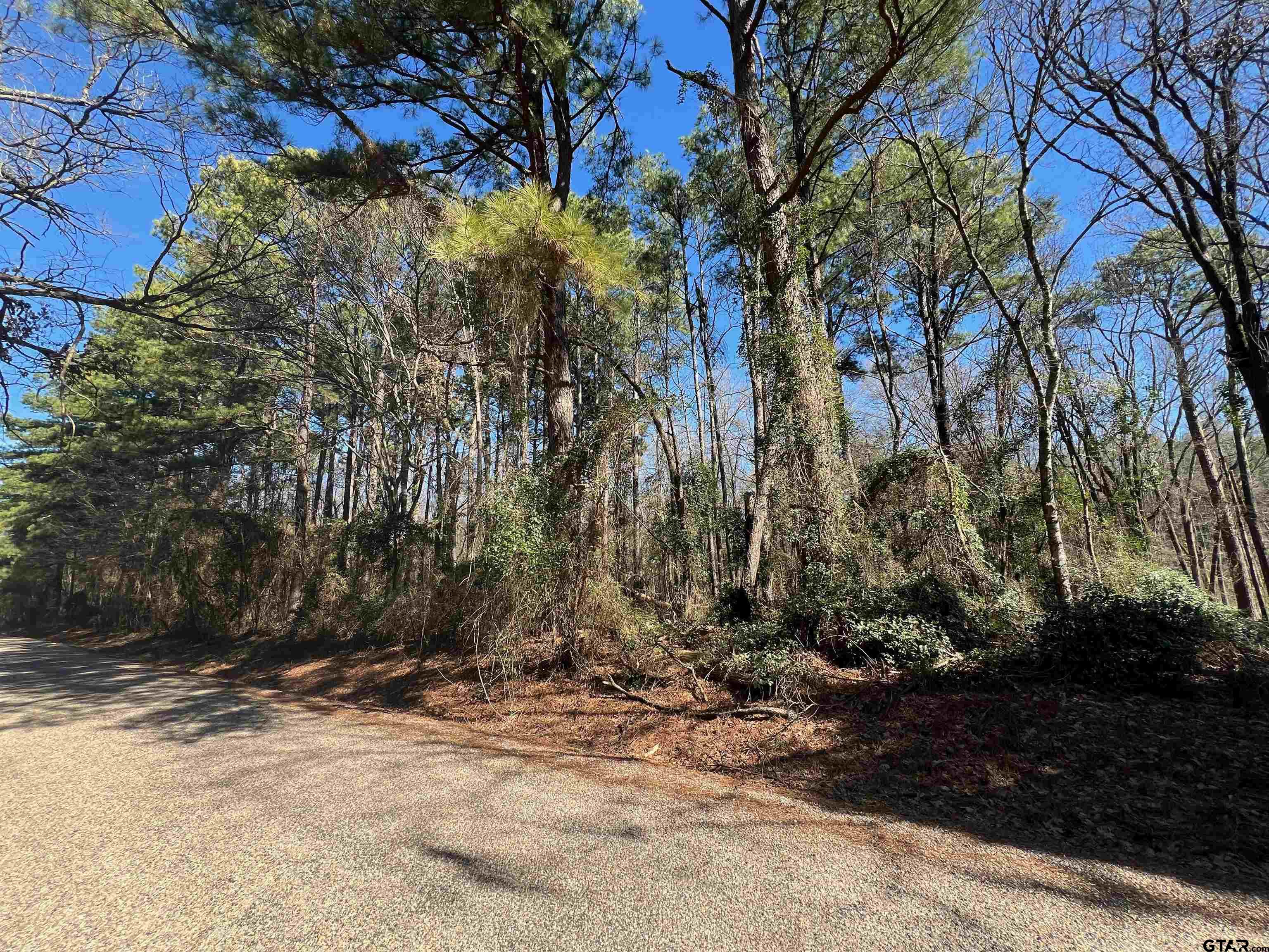 Tbd Cr 2314, Pittsburg, TX 75686 MLS 24001658 Coldwell Banker