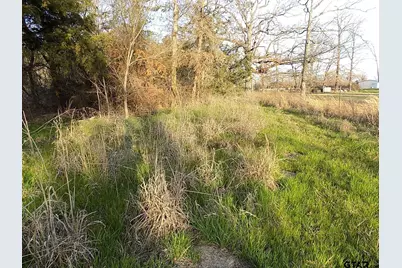 Tbd Rains County Road 3410, Emory, TX 75440 - Photo 5