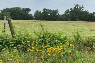 981 Co Rd 3987, Winnsboro, TX 75494 - Photo 1