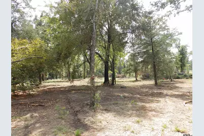 16393 W Hwy 31, Tyler, TX 75709 - Photo 27