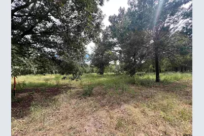 14694 C R 424, Lindale, TX 75771 - Photo 5