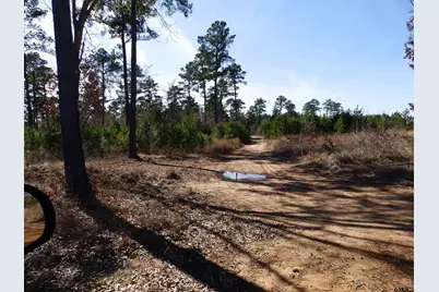 20175 S Hwy 155 Lot I, Flint, TX 75762 - Photo 31