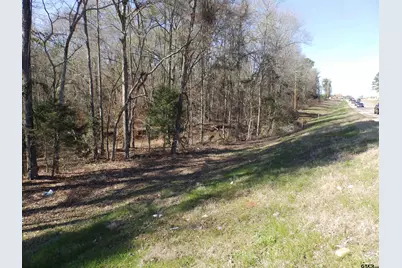 20175 S Hwy 155 Lot I, Flint, TX 75762 - Photo 33