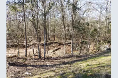 20175 S Hwy 155 Lot C1, Flint, TX 75762 - Photo 37